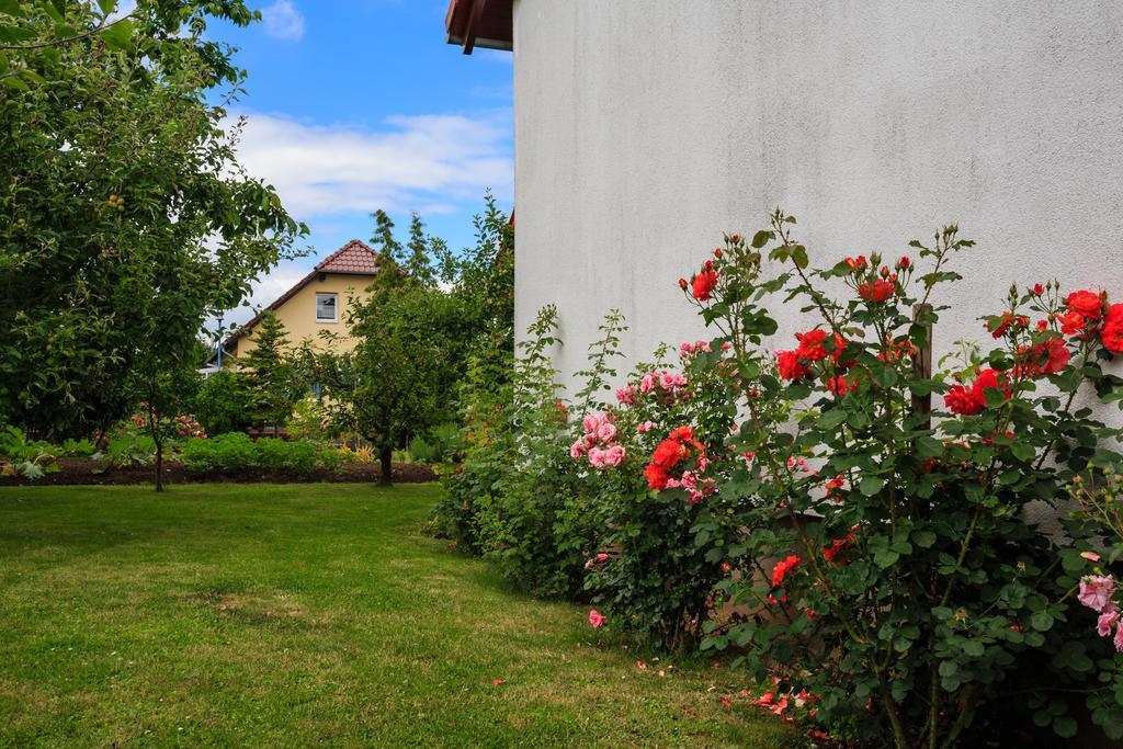 Hotel-Pension Am Rosarium Зангерхаузен Екстериор снимка
