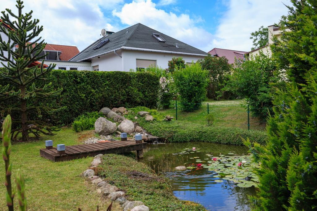 Hotel-Pension Am Rosarium Зангерхаузен Екстериор снимка
