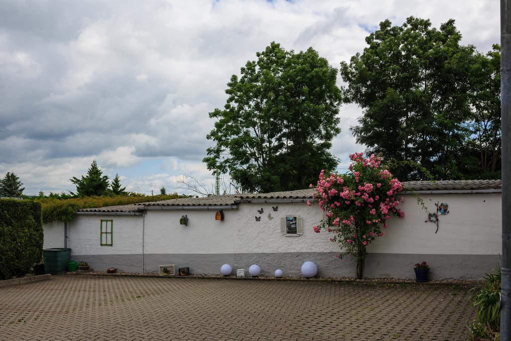 Hotel-Pension Am Rosarium Зангерхаузен Екстериор снимка